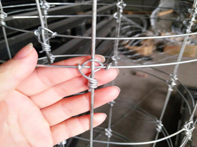 草原圍欄網(wǎng)